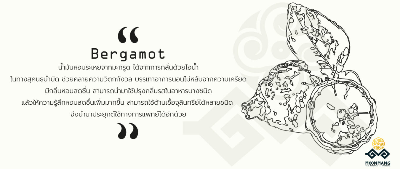 สไลด์2
