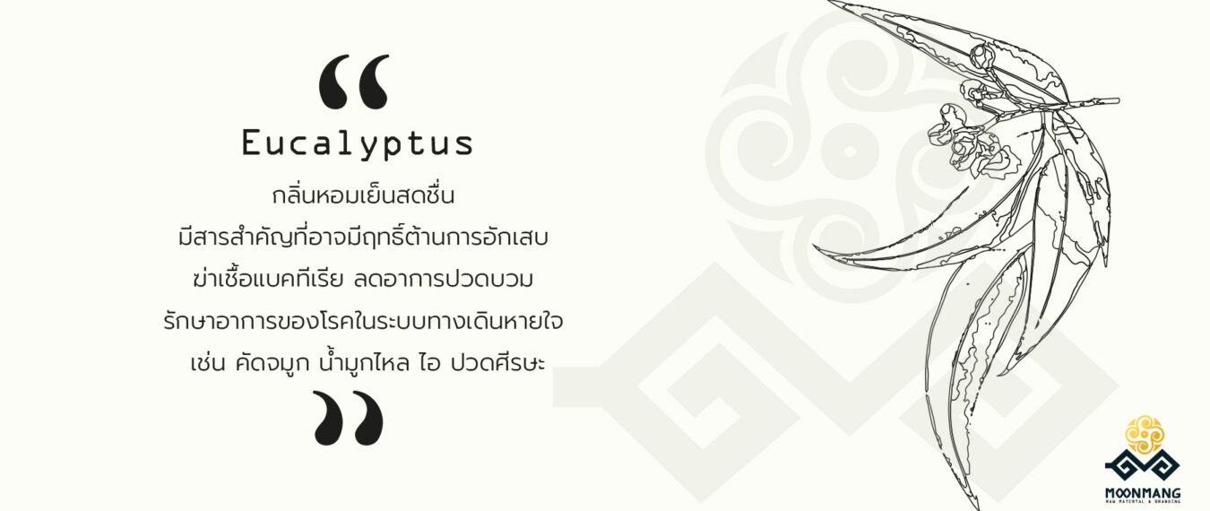 สินค้า